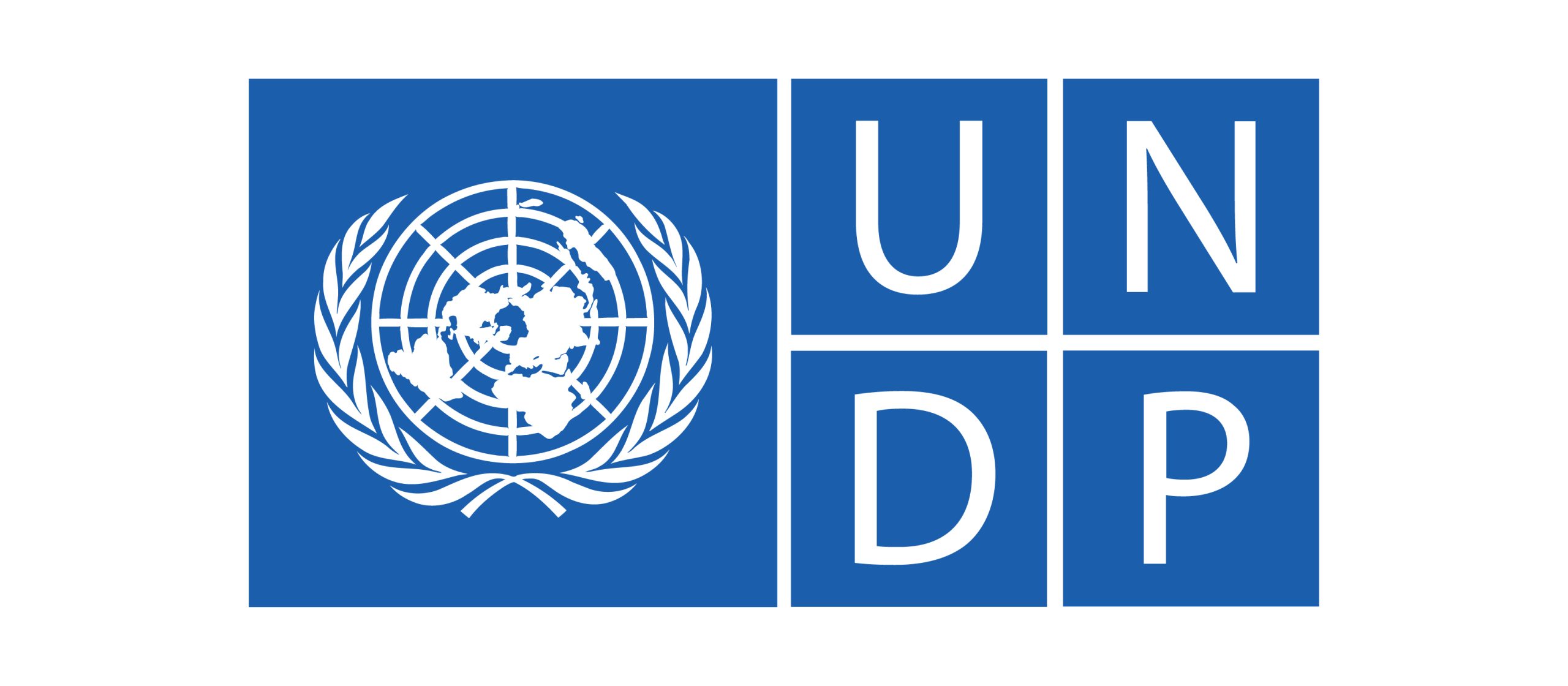 UNDP